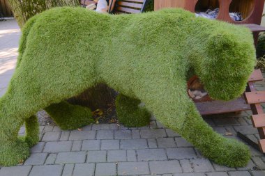 Bir köpek, gün boyunca dışarıda tuğlalı asfalt bir yolda ağaç bir hayvanın altına saklanır..