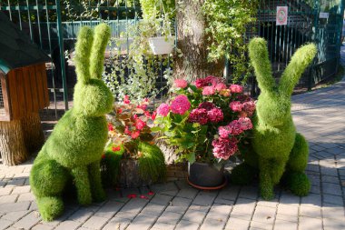 Çiçeklerin yanında oturan iki yeşil tavşan bir bahçenin girişini süslüyor..