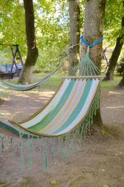 İki renkli hamak ağaçların arasına asılmış. Rahatlatıcı bir açık hava ortamında..