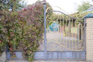 Süslü, altın bir kapı bir eve açılıyor; Virginia sürüngeni kapıda büyüyor..