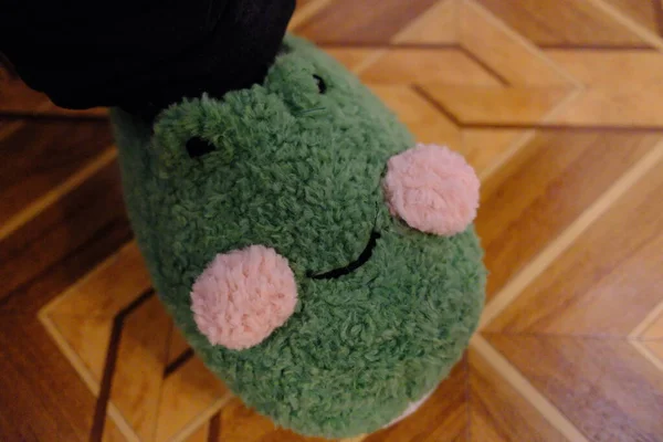 Şirin yeşil terlikler, pembe yanaklı pelüş bir kurbağa parke zeminde oturuyor..