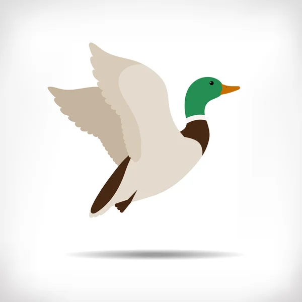 Flying duck vector. Mallard duck flying. Duck flying icon. Duck hunt vector. Isolated vector silhouette of flying duck on background for logotype. Duck flies. Vector Graphics