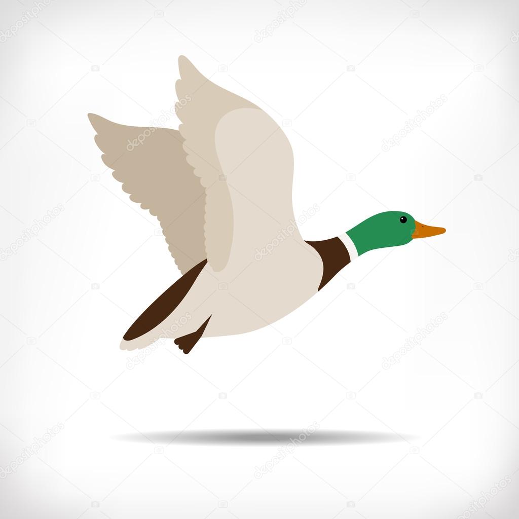 Flying duck cartoon isolated vector for logotype, icon, emblem, site