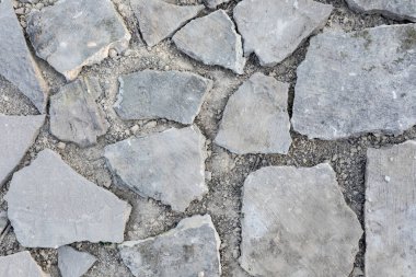 Yerde büyük taşlarla döşenmiş bir bahçe yolunun yakın görüntüsü. Doğal dokular ve minimalist kompozisyon kırsal açık hava sadeliğini yakalar.