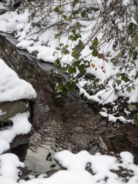 Karda küçük bir orman akıntısının görüntüsü. Minimalist kış kompozisyonu ile su üzerinde hafif dalgalanmalar.