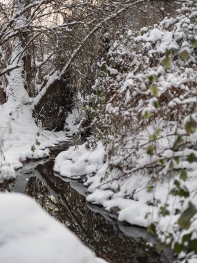 Sakin bir orman deresine yansıyan karlı ağaçlar. Minimalist kış kompozisyonu. Huzurlu, sakin bir atmosfer..