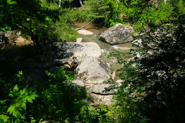 Rio de montanha rápido em um dia de verão ensolarado na floresta — Fotografia de Stock