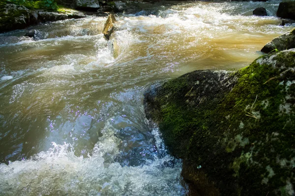 Fiume di montagna roccioso nelle montagne Altai in estate — Foto Stock