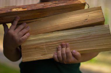 Yakacak odun, fırın, şömine ve yangın çukur açık havada ateş için çam odun yarmak