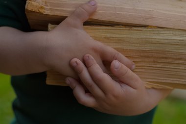 Yakacak odun, fırın, şömine ve yangın çukur açık havada ateş için çam odun yarmak