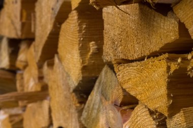 Yakacak odun, fırın, şömine ve yangın çukur açık havada ateş için çam odun yarmak