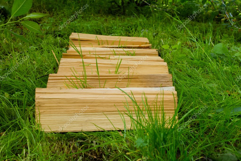 Split Firewood Pine Wood For Firing The Furnace The Fireplace