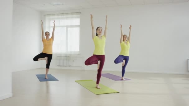 Smal passa kvinnor gör yoga på motion — Stockvideo