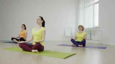 Üç genç kadın rahatlatıcı yoga Pose uygulamak