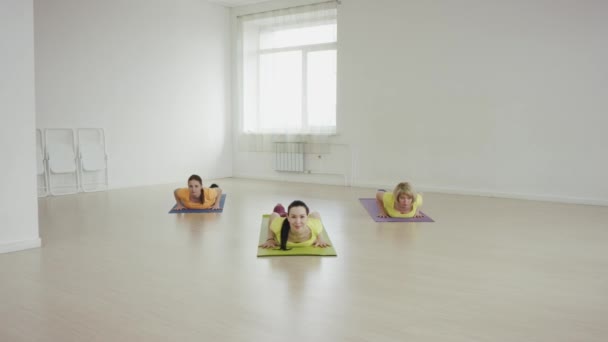 Esercizio di yoga. Metti la museruola al cane — Video Stock