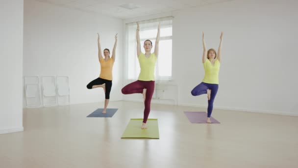 长着细长适合妇女做瑜伽运动 — 图库视频影像