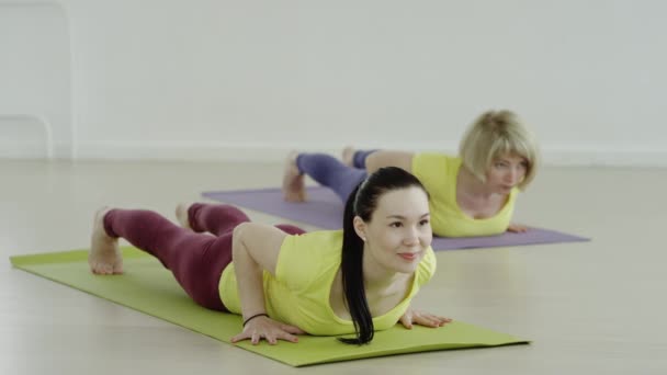 Yoga oefening. Vormen van hond snuit omhoog en de snuit naar beneden — Stockvideo