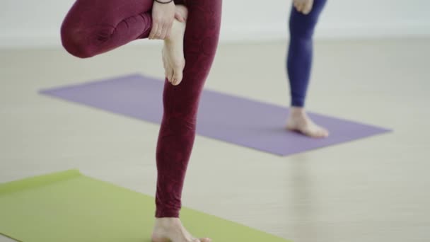 Magro ajuste mulheres fazendo ioga no exercício — Vídeo de Stock