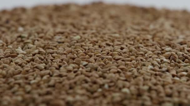 A pile of buckwheat Rotating — Stock Video