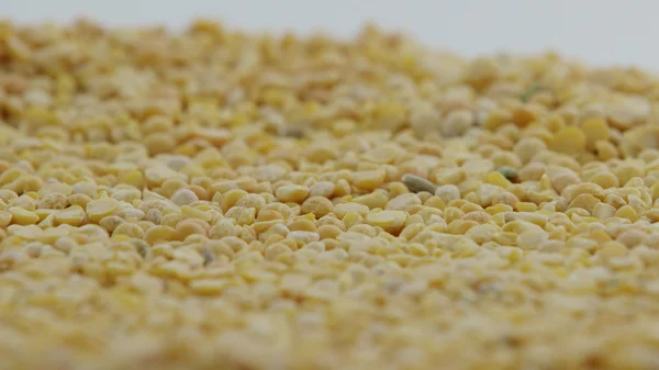 Sarı bezelye yığını döner