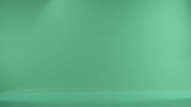 yeşil bir ekran üzerinde para transfer işadamları