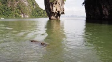 Kıyıdan güzel ada