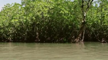 yat, deniz, sahne, hız ve su sıçramalarına