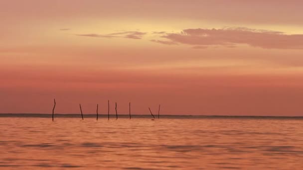 Vagues rouges en Thaïlande — Video