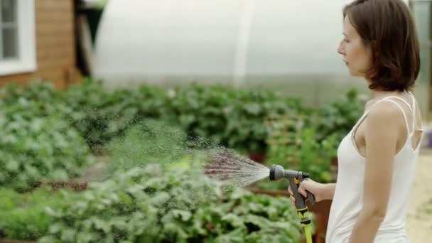 Rega de uma planta com uma mangueira — Vídeo de Stock