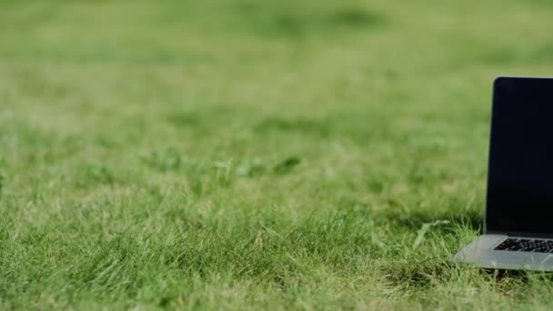 Notebook on grass summer, green background — Stock Video