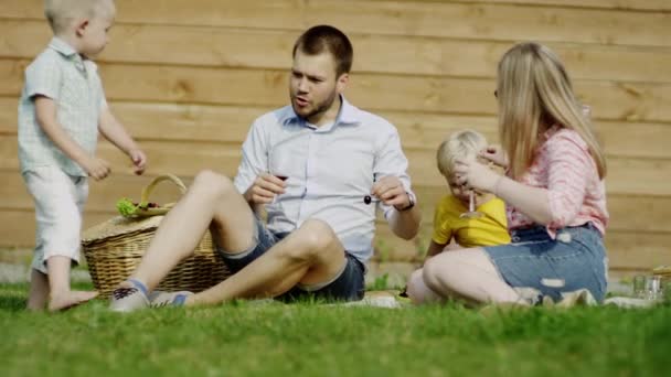 Οικογενειακό πικ νικ στη summerday — Αρχείο Βίντεο