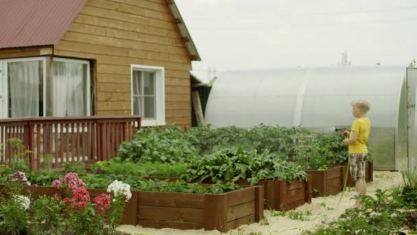 Мальчик ухаживает за садом — стоковое видео