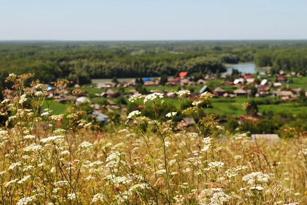Dağdan köye Srostki, Altay görüntülemek