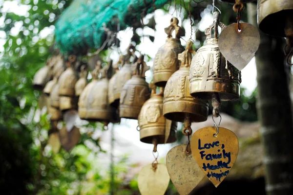 çan için iyi şanslar