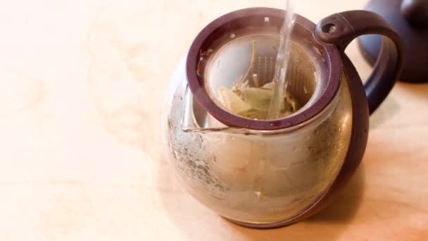 Brewing herbal tea with raspberries — Stock Video