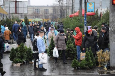 Lviv, Ukrayna, 23 Aralık 2020. İnsanlar Lviv 'deki Noel ağacı pazarında Noel ağacı satıyor..