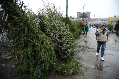Lviv, Ukrayna, 23 Aralık 2020. İnsanlar Lviv 'deki Noel ağacı pazarında Noel ağacı satıyor..