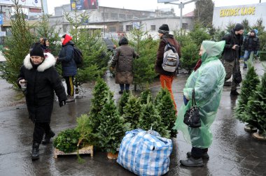 Lviv, Ukrayna, 23 Aralık 2020. İnsanlar Lviv 'deki Noel ağacı pazarında Noel ağacı satıyor..