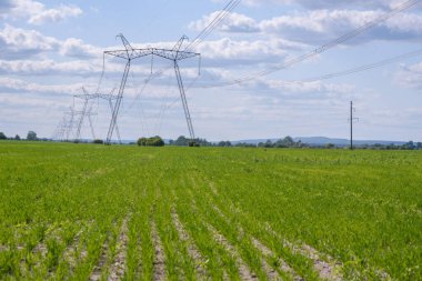 Batı Ukrayna 'daki elektrik hatlarının görüntüsü, elektrik iletimleri.