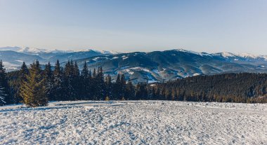 Ağaçlar uzak dağların arkasında dikilirken kar zemini kaplıyor. Güneş, kışın güzelliğini gösteren karlı sahneyi aydınlatıyor..