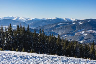 Dağlar açık mavi gökyüzünün altında yükselirken kar zemini ve ağaçları örtüyor. Bu sahne dağ bölgesinde tipik bir kış gününü gösteriyor..