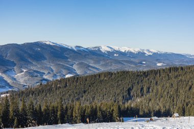 Karla kaplı dağların manzarası ve açık mavi gökyüzünün altında yoğun bir orman. Sahne, kışın güzelliğini vurgulayarak, uzaktaki zirveleri gösteriyor..