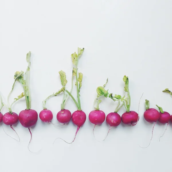 Fresh little cherry radish — Stock Photo, Image