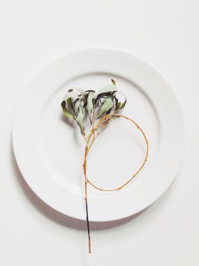 Beyaz plaka kurutulmuş yaprakları