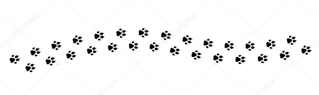 Paw vector foot trail print on white background.vector cat or Dog