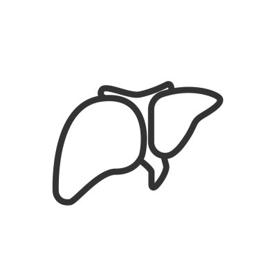 Karaciğer vektör simgesi. Web ve mobil uygulama için tıbbi izole vektör sembolü