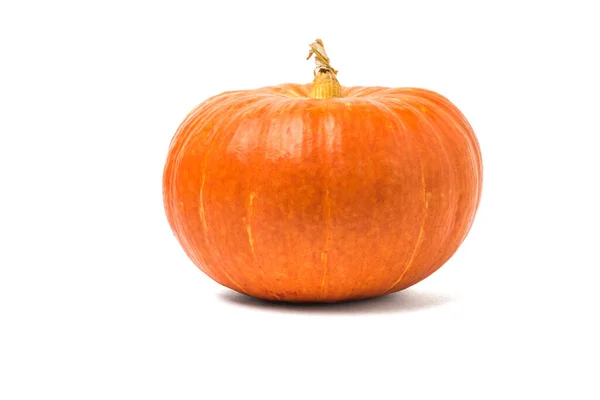 Ripe orange pumpkin of huge size isolated on a white background. — Stock Photo, Image