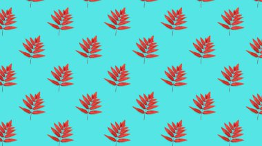 Kırmızı Rowan yapraklı kusursuz turkuaz arkaplan deseni.