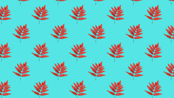 Seamless pattern of turquoise background with red Rowan leaves.