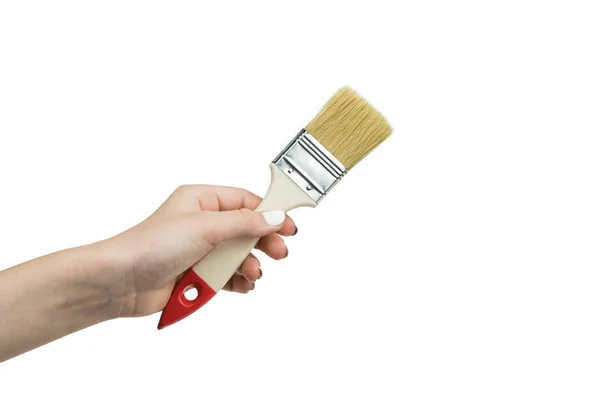 Female Hand Brush Isolated White Background Hand Paint Application Tool — Stock Photo, Image